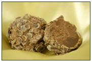 Dark Chocolate